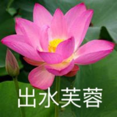 伊甸之战国际服下载